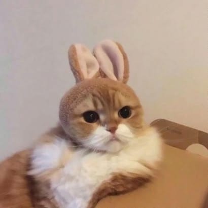 Bảo Khánh avatar