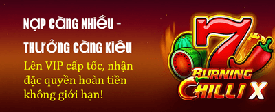 Khám Phá Thế Giới Giải Trí
